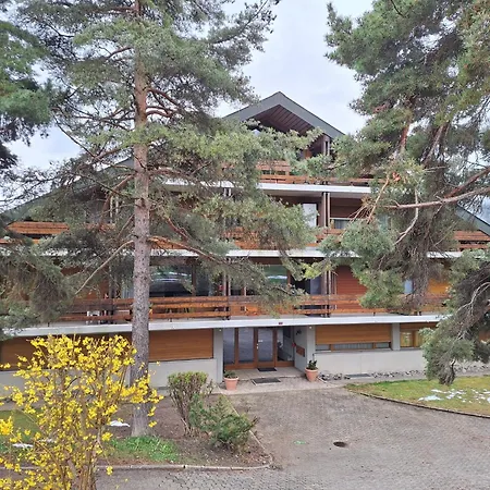 Charming With Great View Daire Ovronnaz