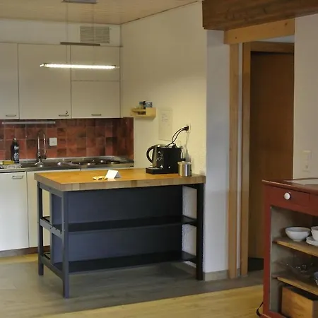 Charming With Great View Appartement Ovronnaz