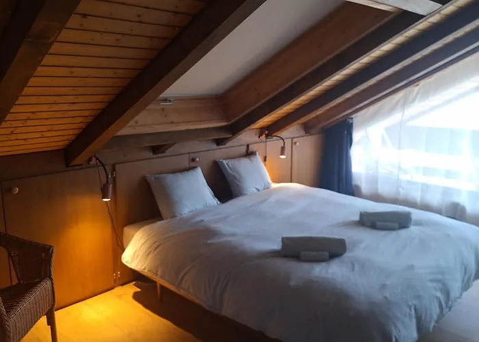 Charming With Great View Ovronnaz